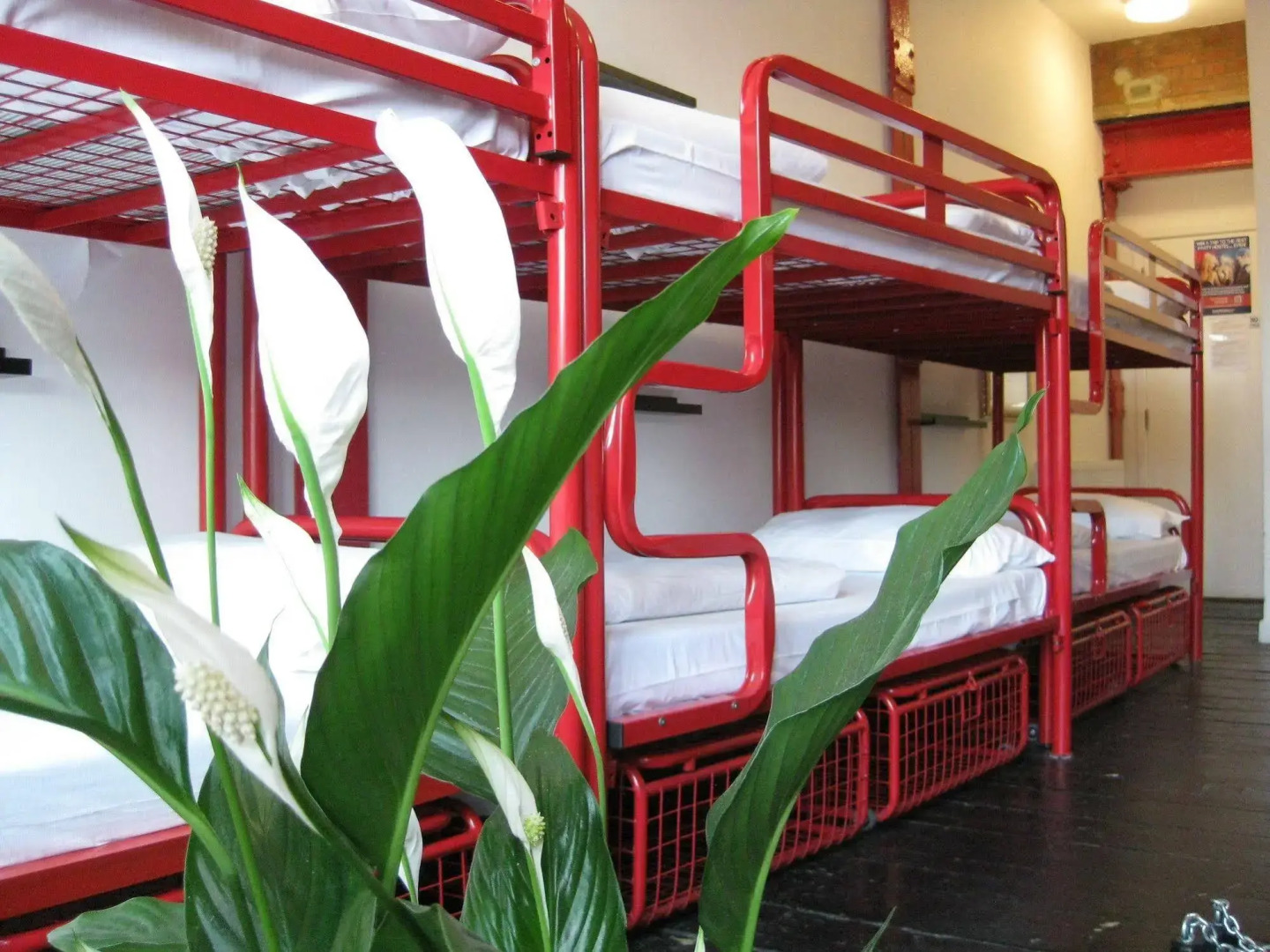 The Dictionary Hostel