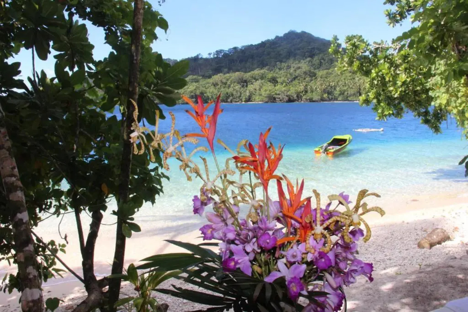 Evis Resort