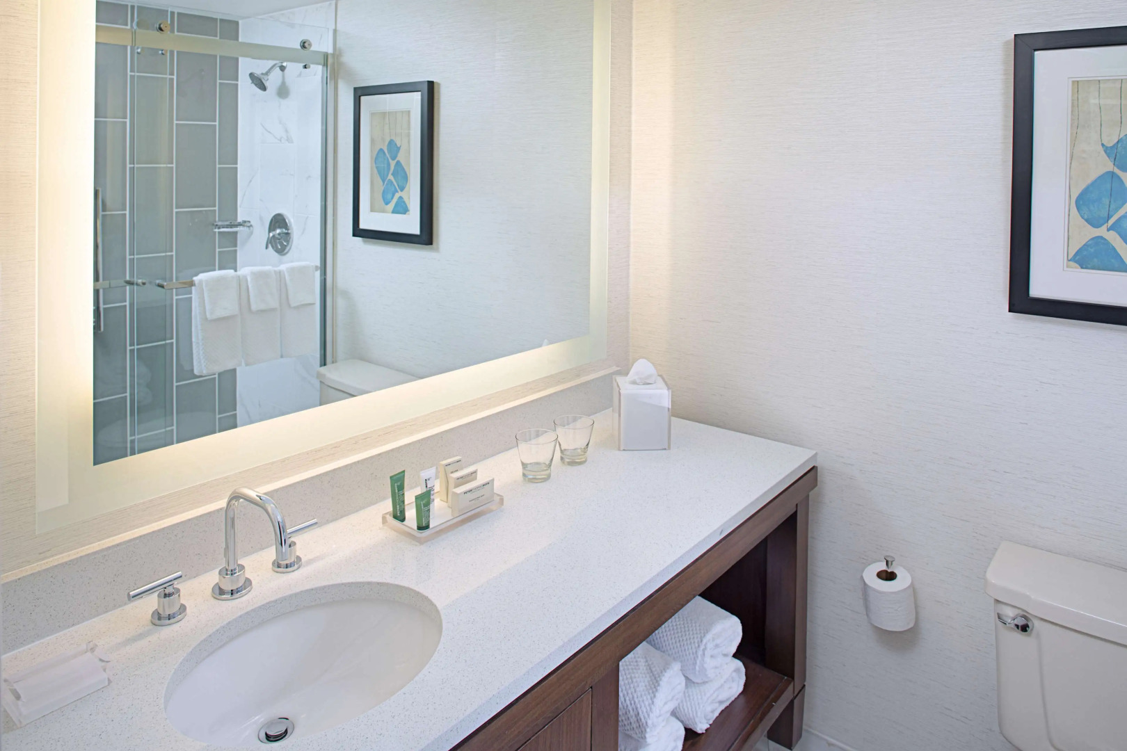 Hilton Boston/Dedham