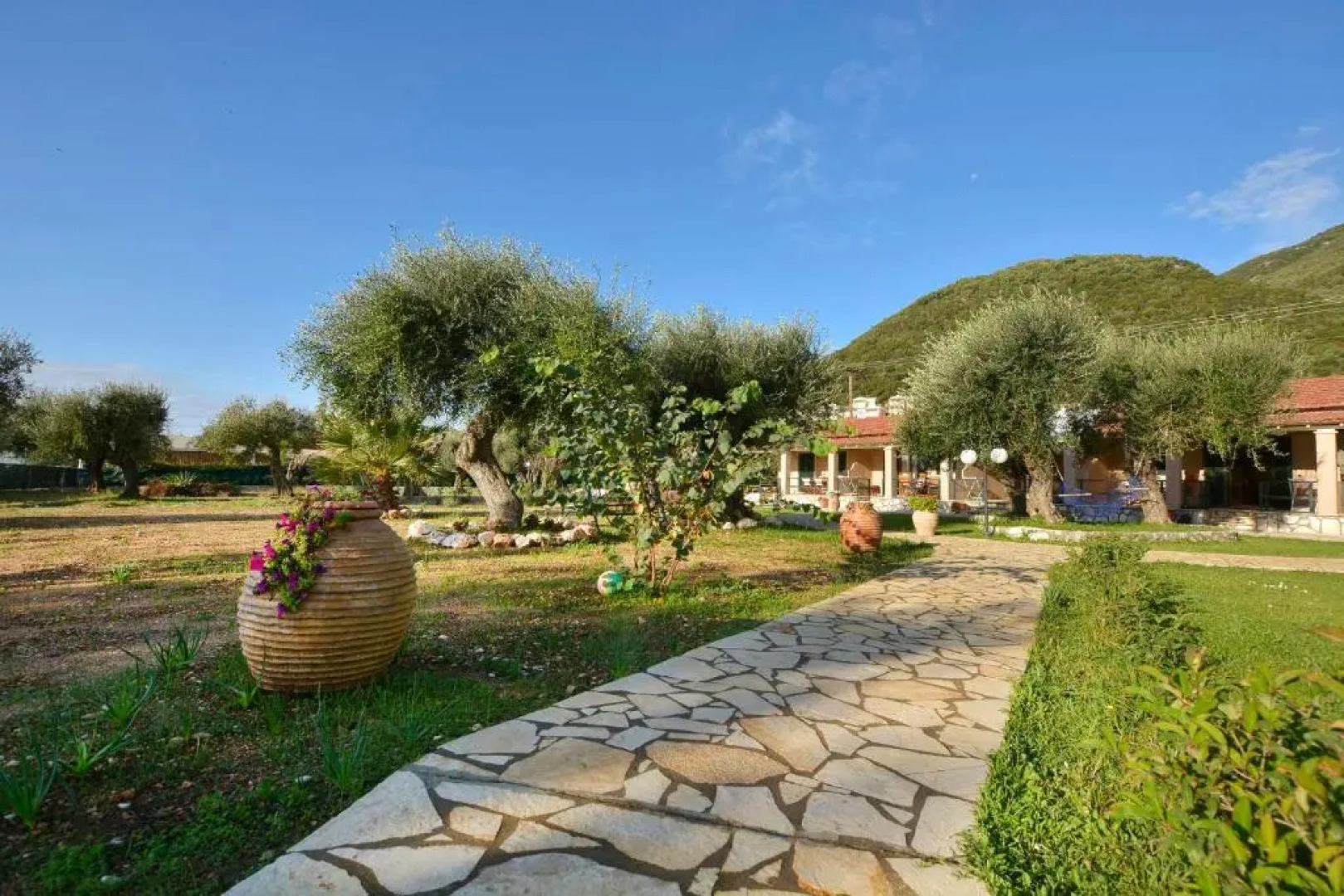 Renata Rooms & Studios