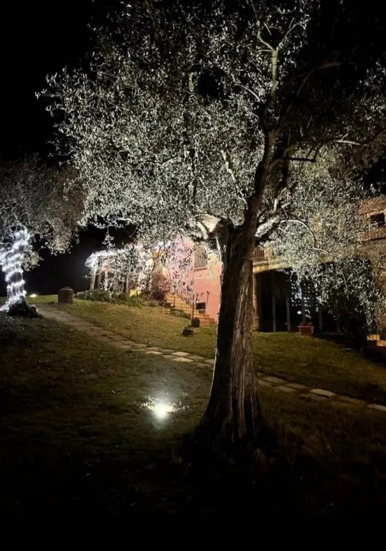 Tenuta Sant'Apollinare