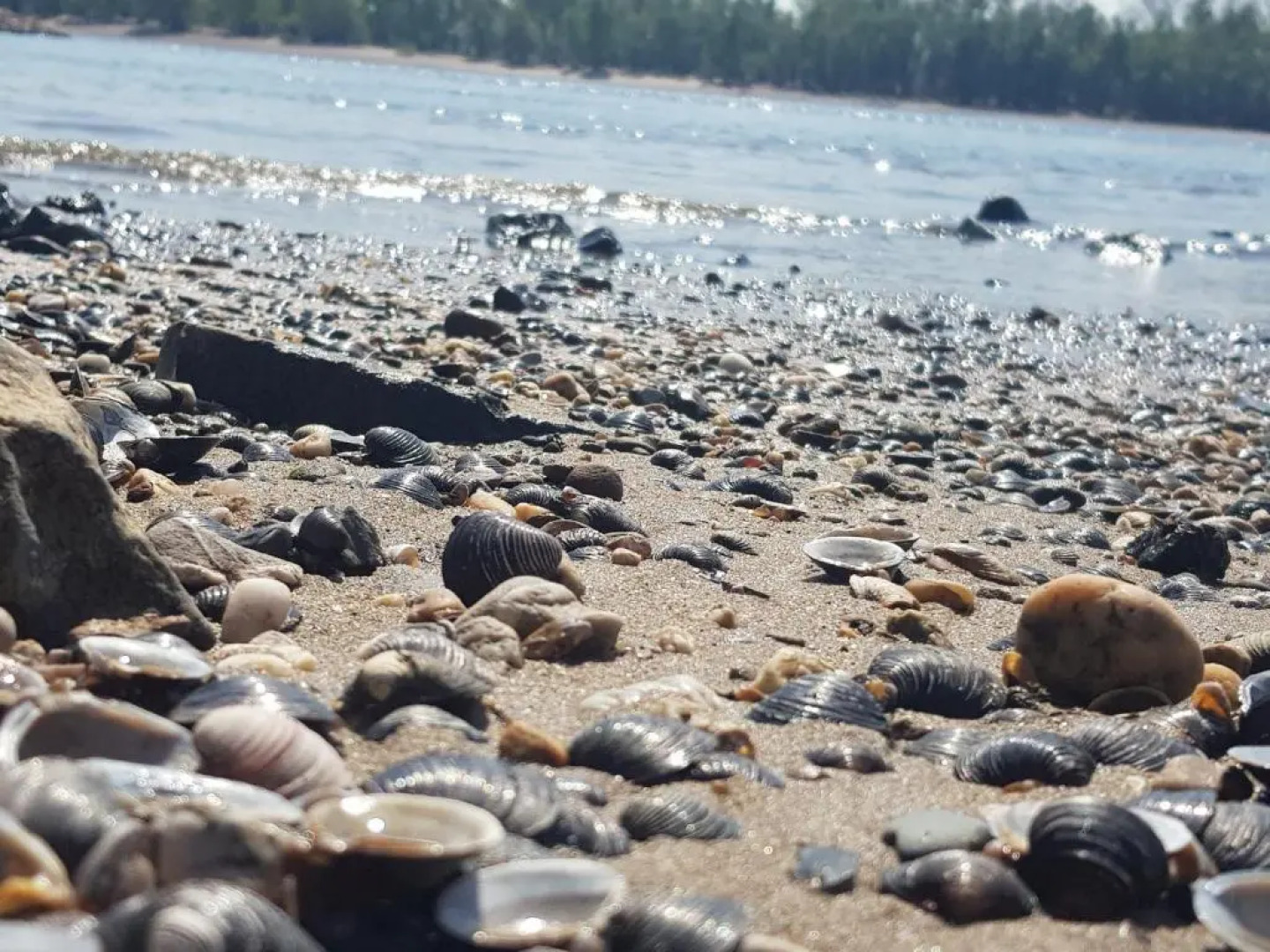 Ferienhaus Wallstraße