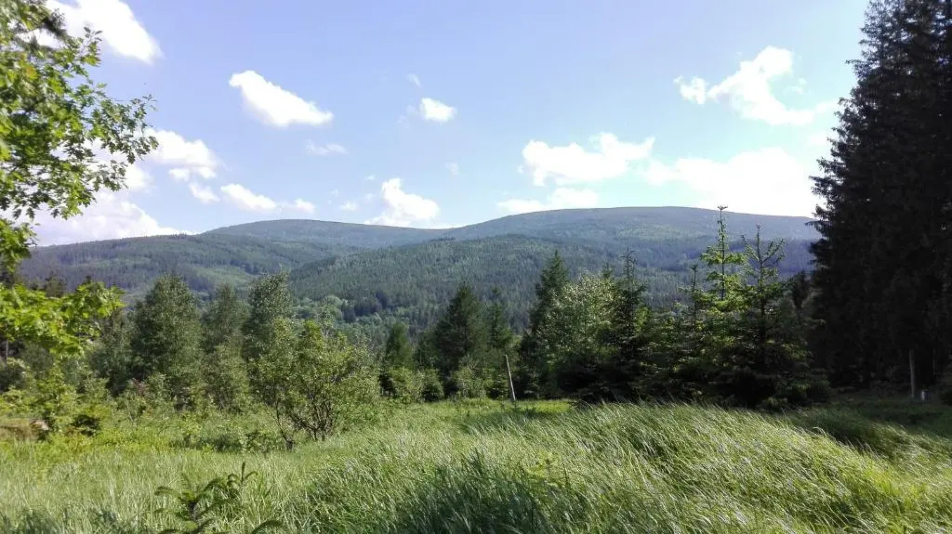 Pokoje Gościnne Przy Lesie