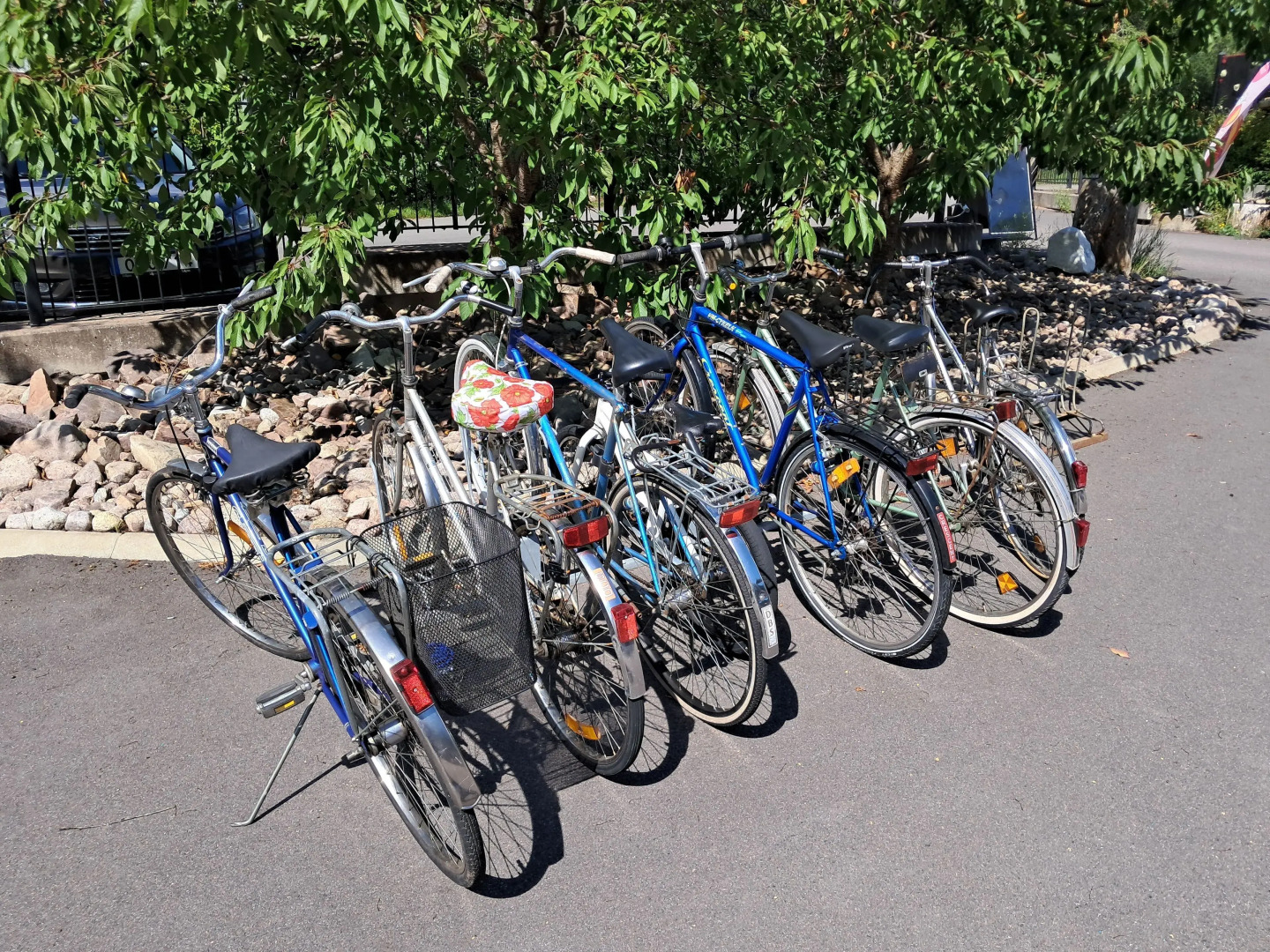 Ankis Bed and Breakfast