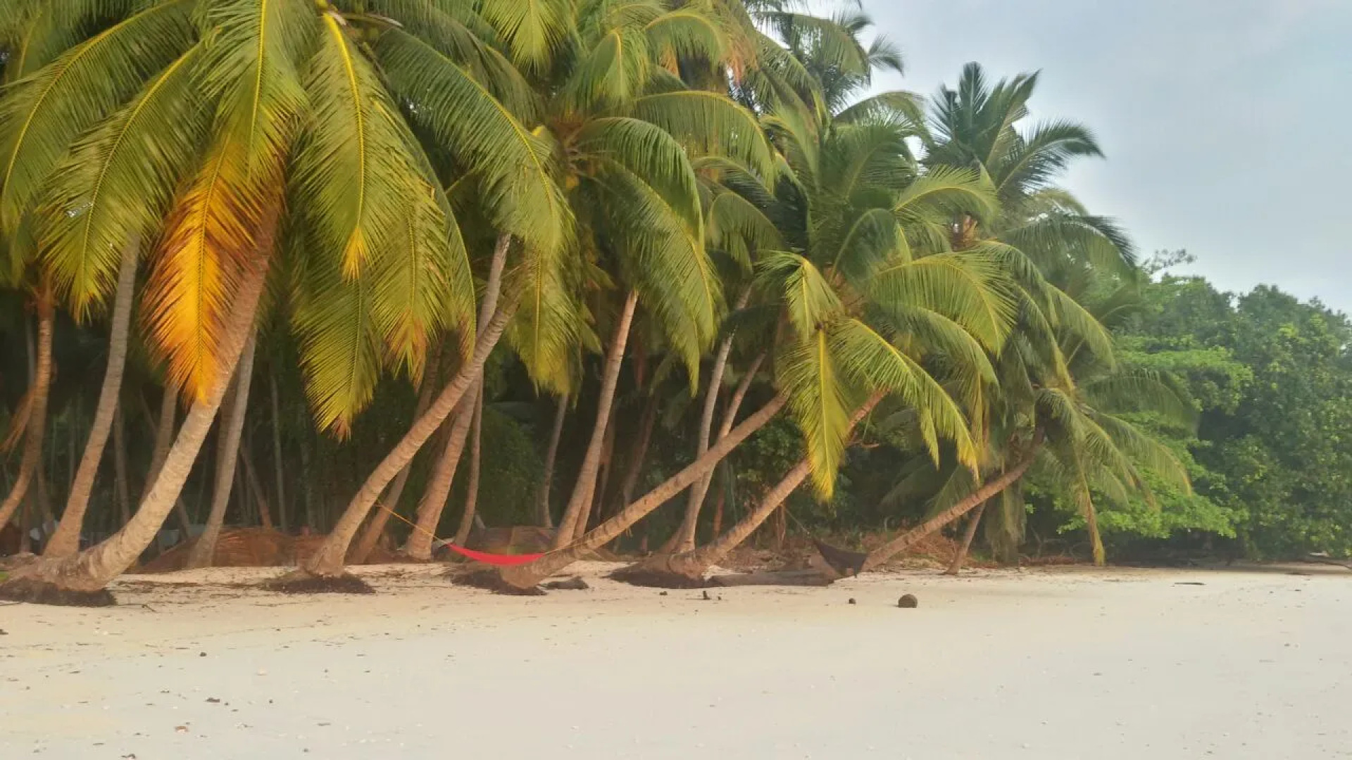 Sangri Las Beach Resort-Havelock Island