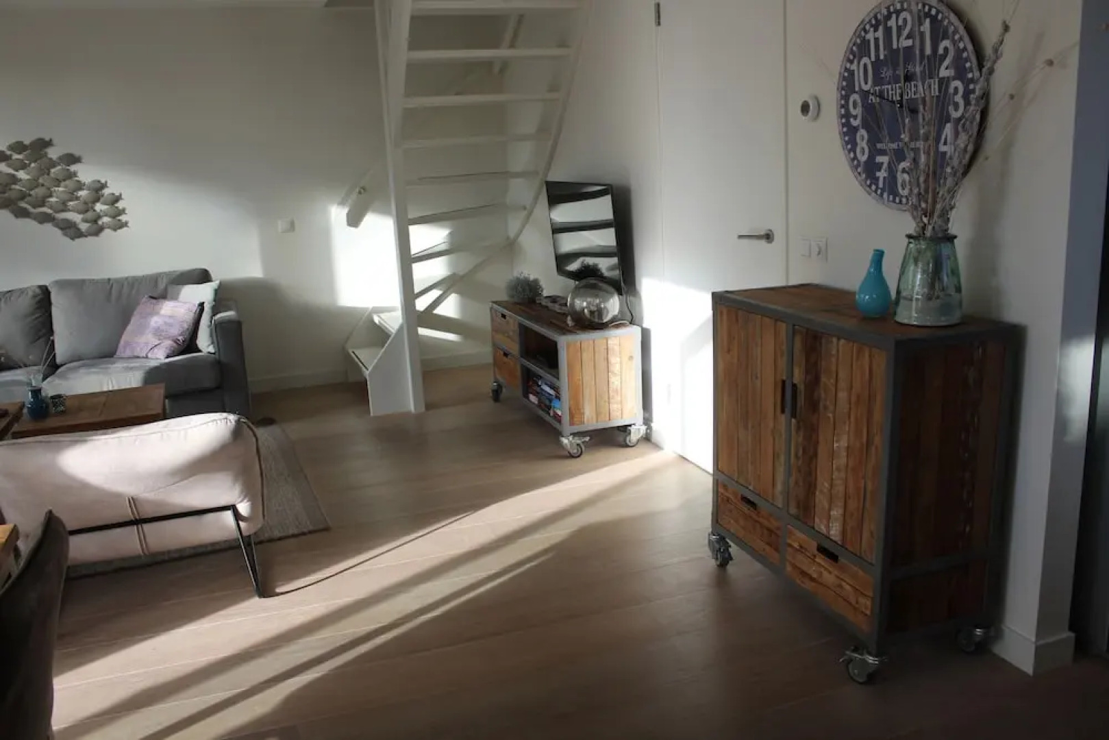 Zeester Egmond nr 15