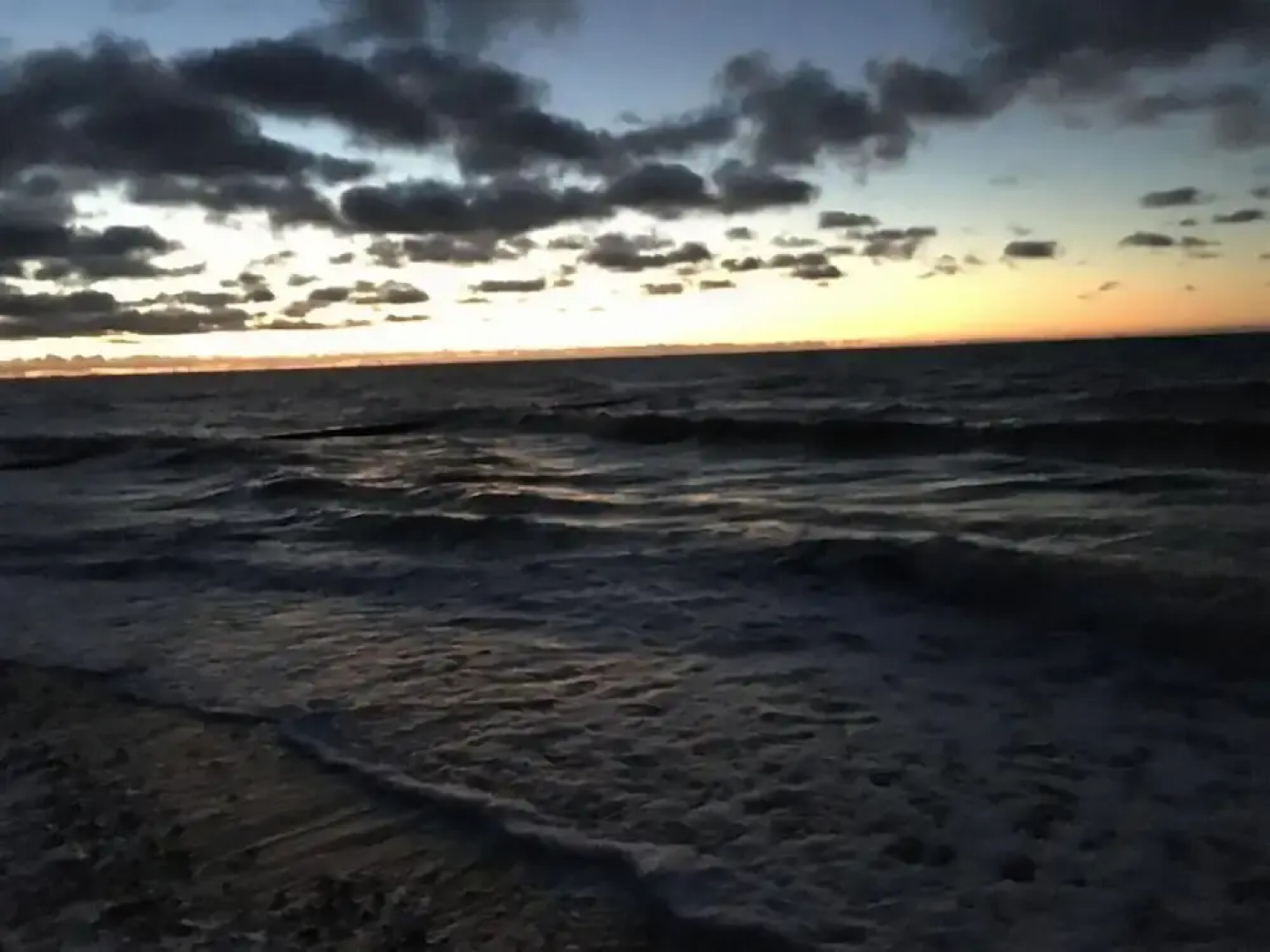 Seahorse Modern Retreat