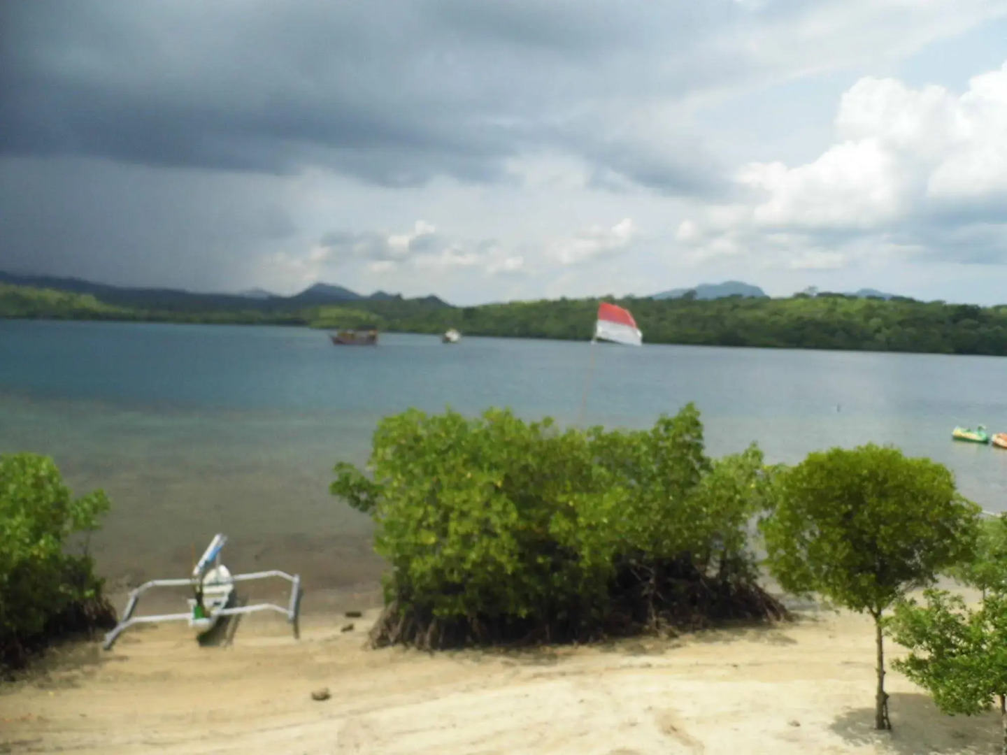 White Sandy Beach Menjangan