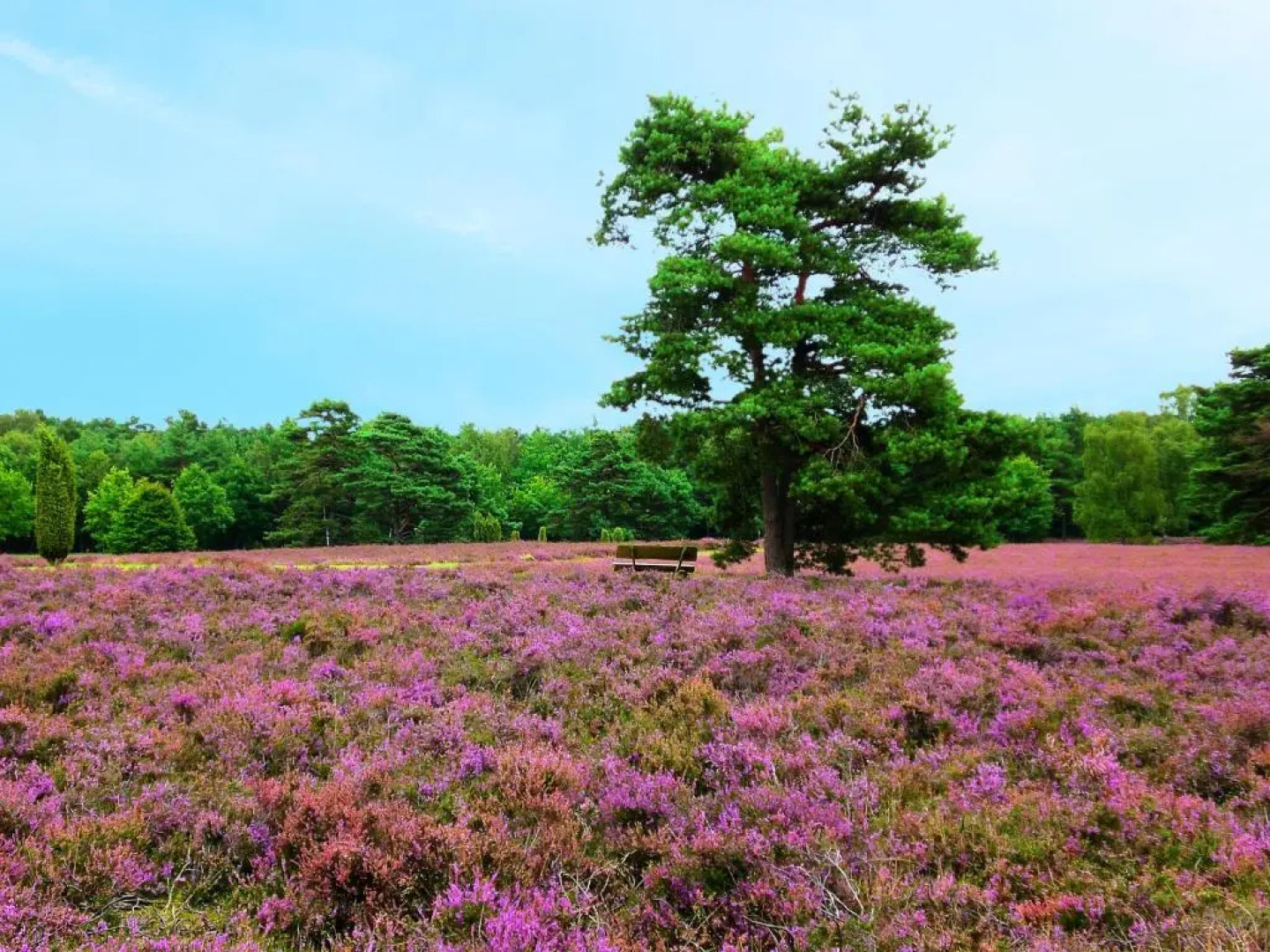 Landgasthaus Zum Naturschutzpark