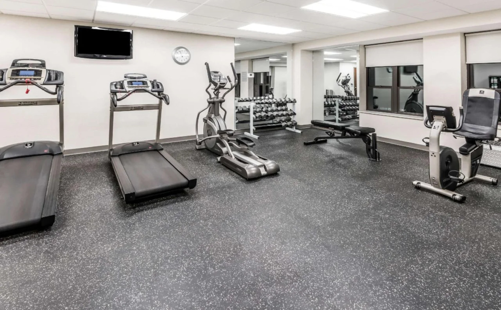 The Mosey Buffalo Williamsville, Tapestry Collection by Hilton