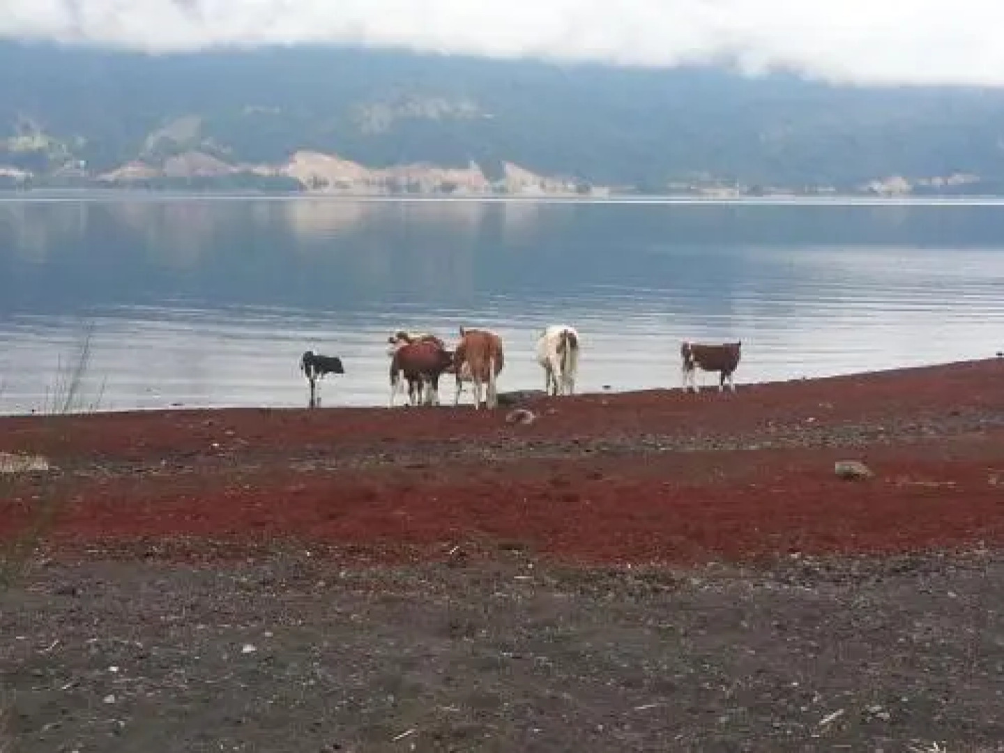 Cabañas Los Hualles con tinaja caliente