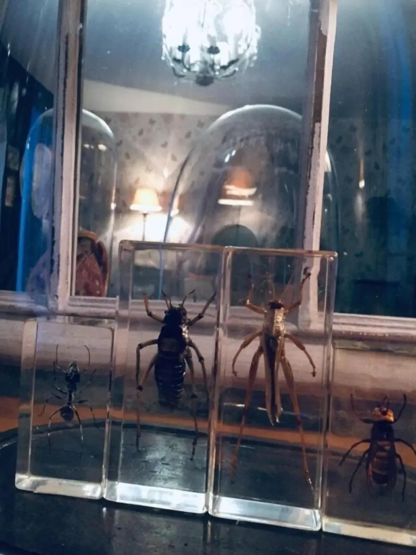 La Guinière Chambres D'hôtes