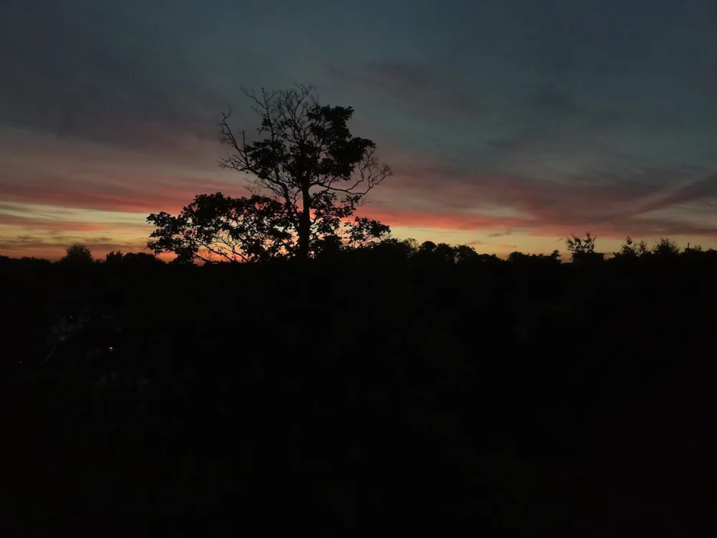 Stunning 1-bed Cottage in Ashford William Harvey