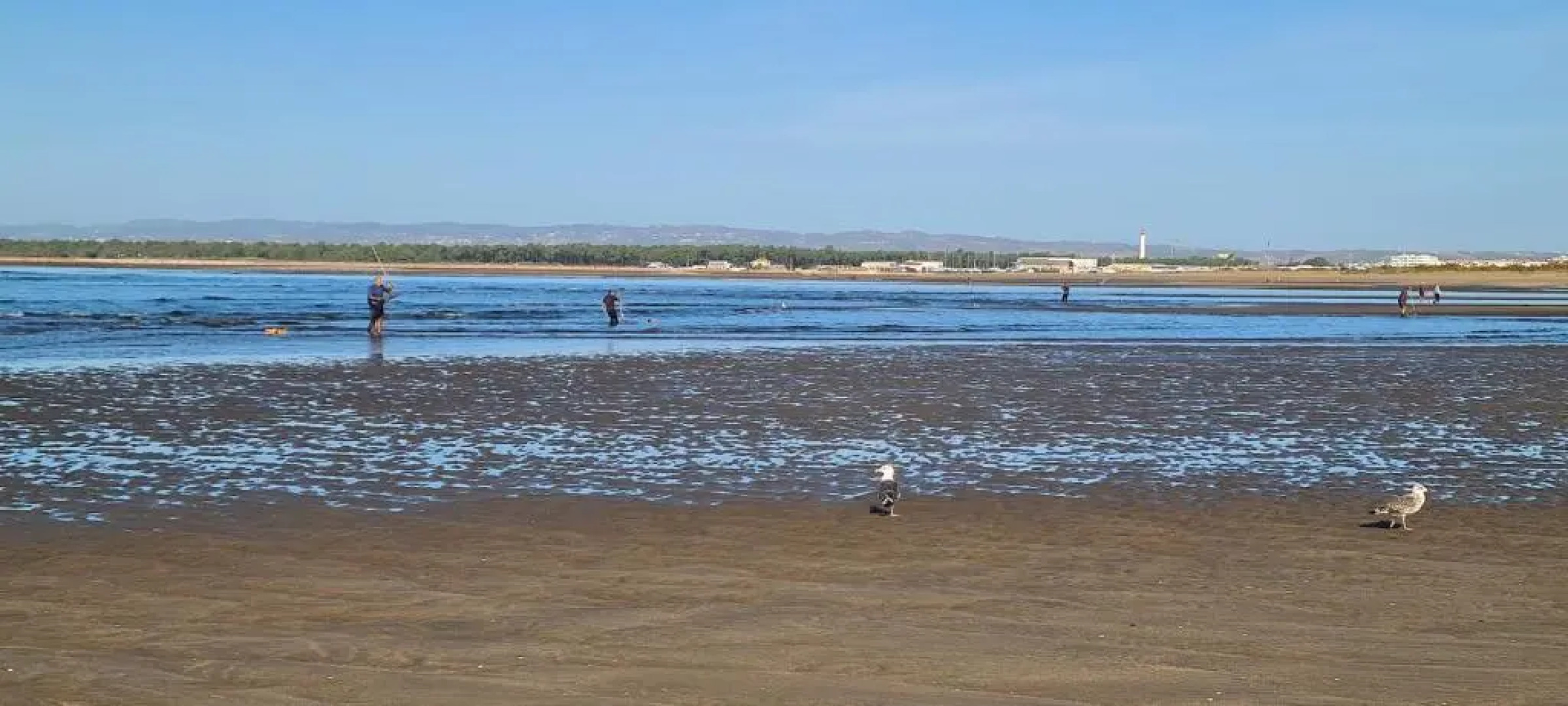 Mirando al mar y lleno de luz VFT/HU/01857
