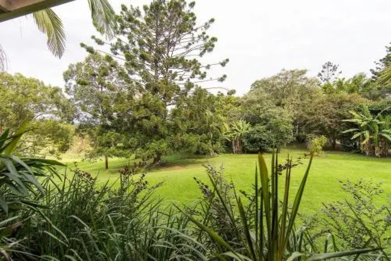 Big Love - Byron Bay Hinterland