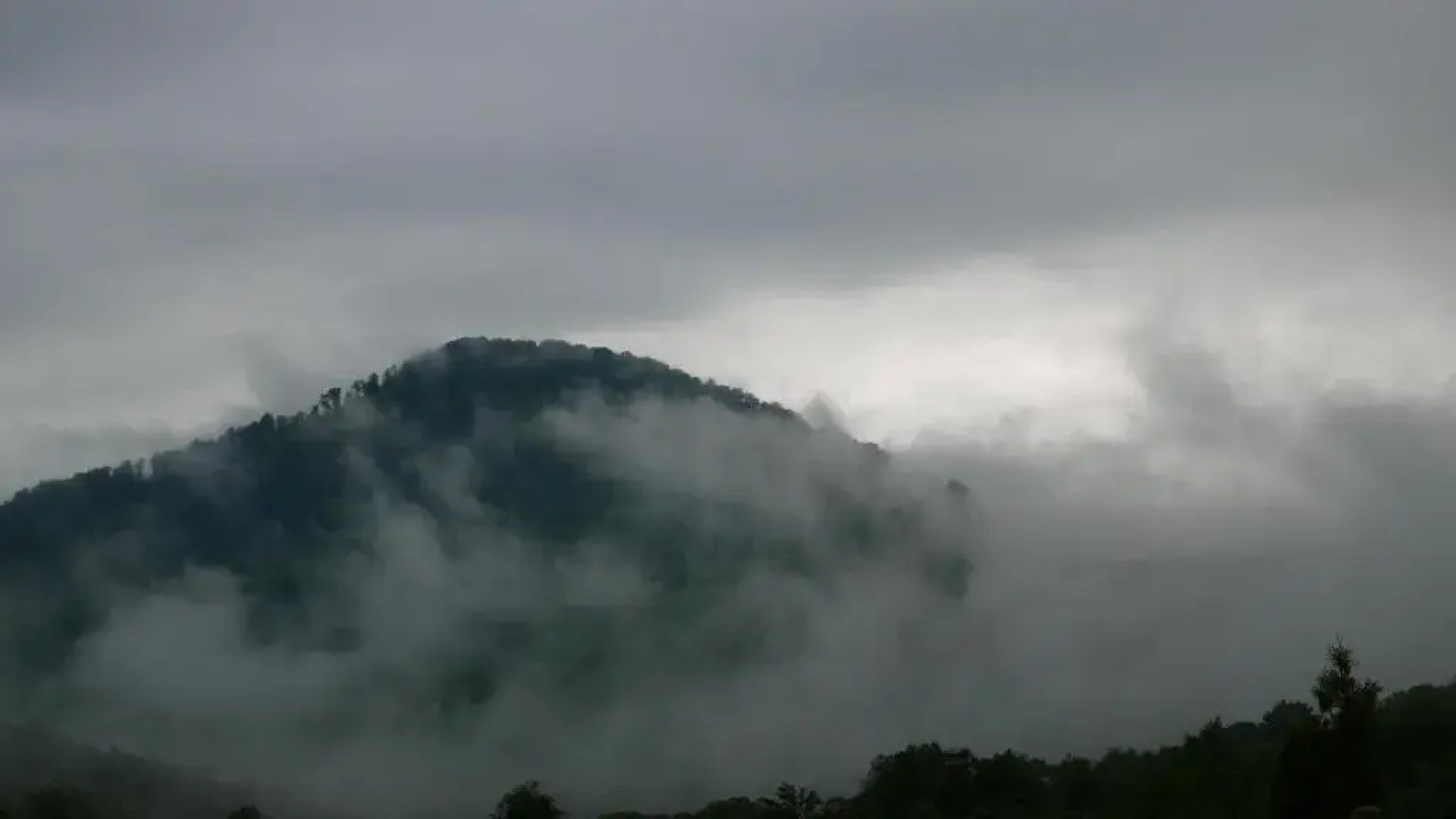 West Wood ApartHotel