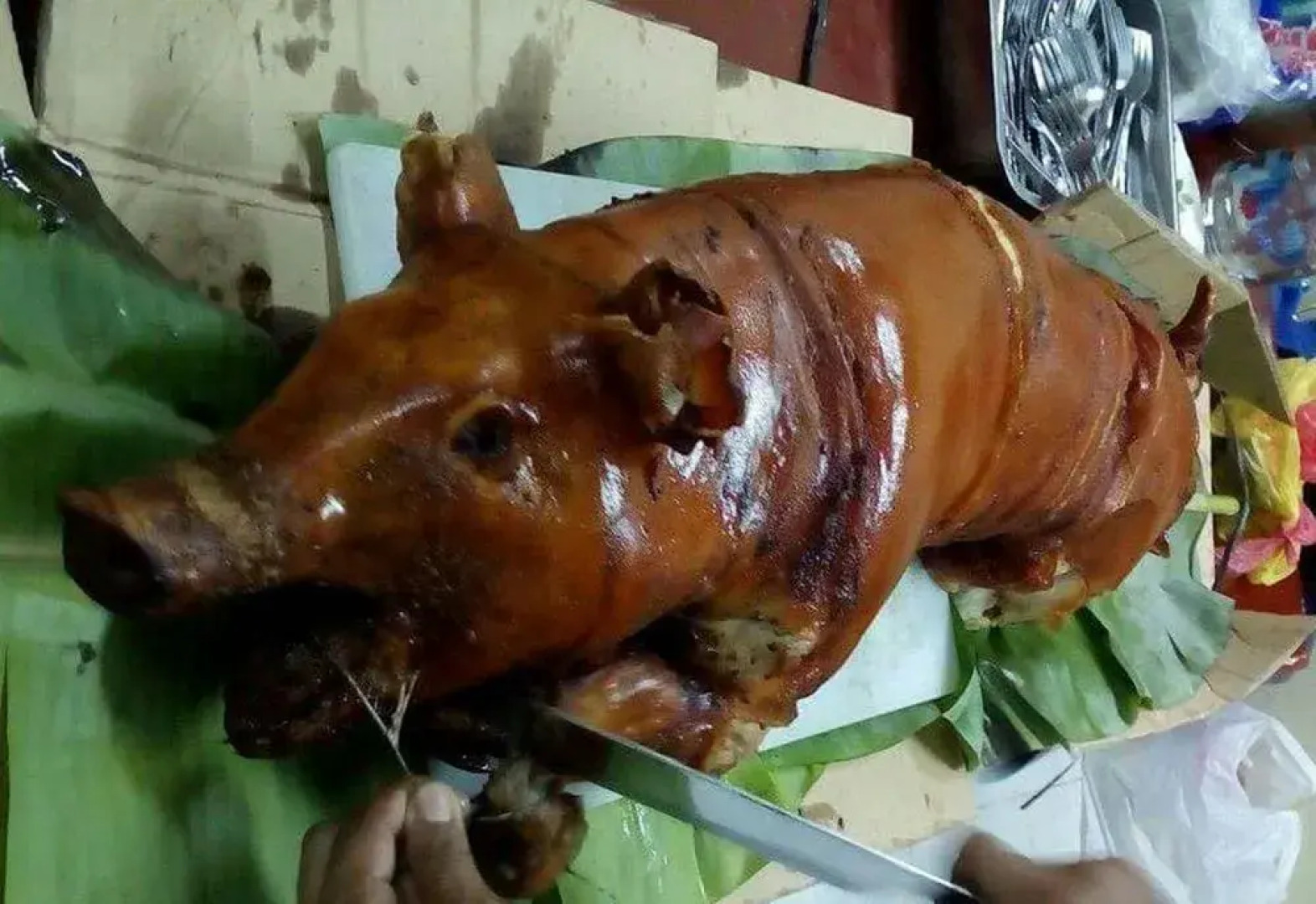 S.R Paradise Beach Resort Hotel