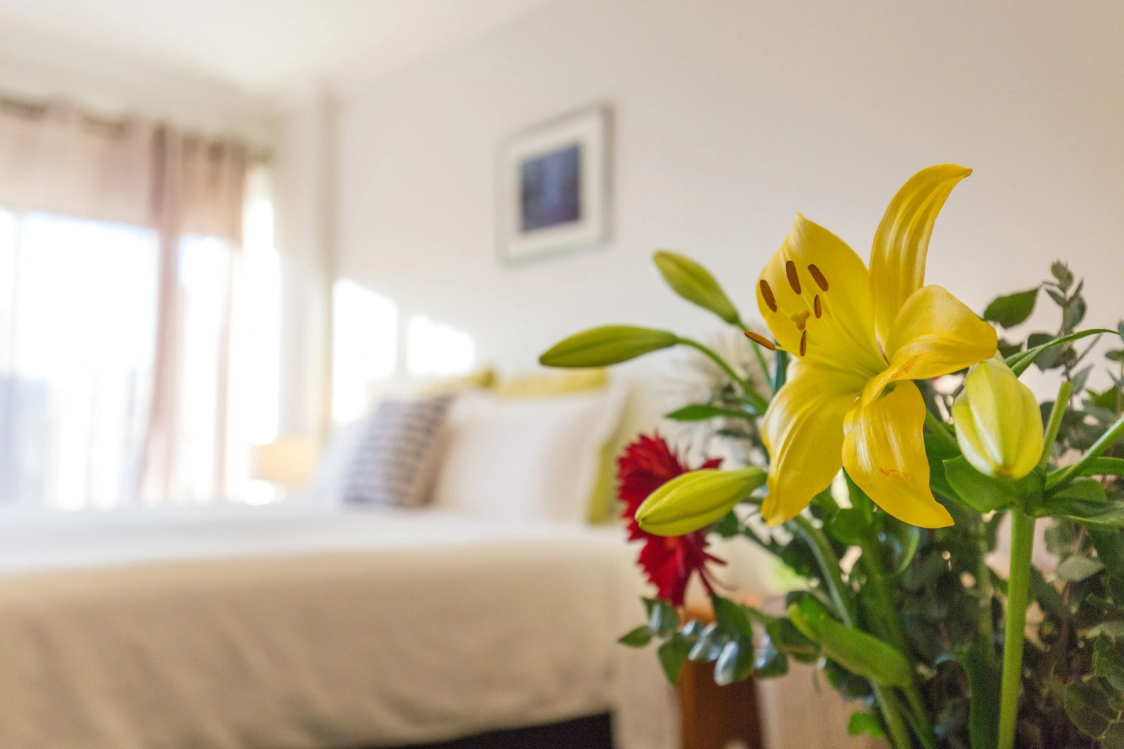 Sandpiper Motel Apollo Bay