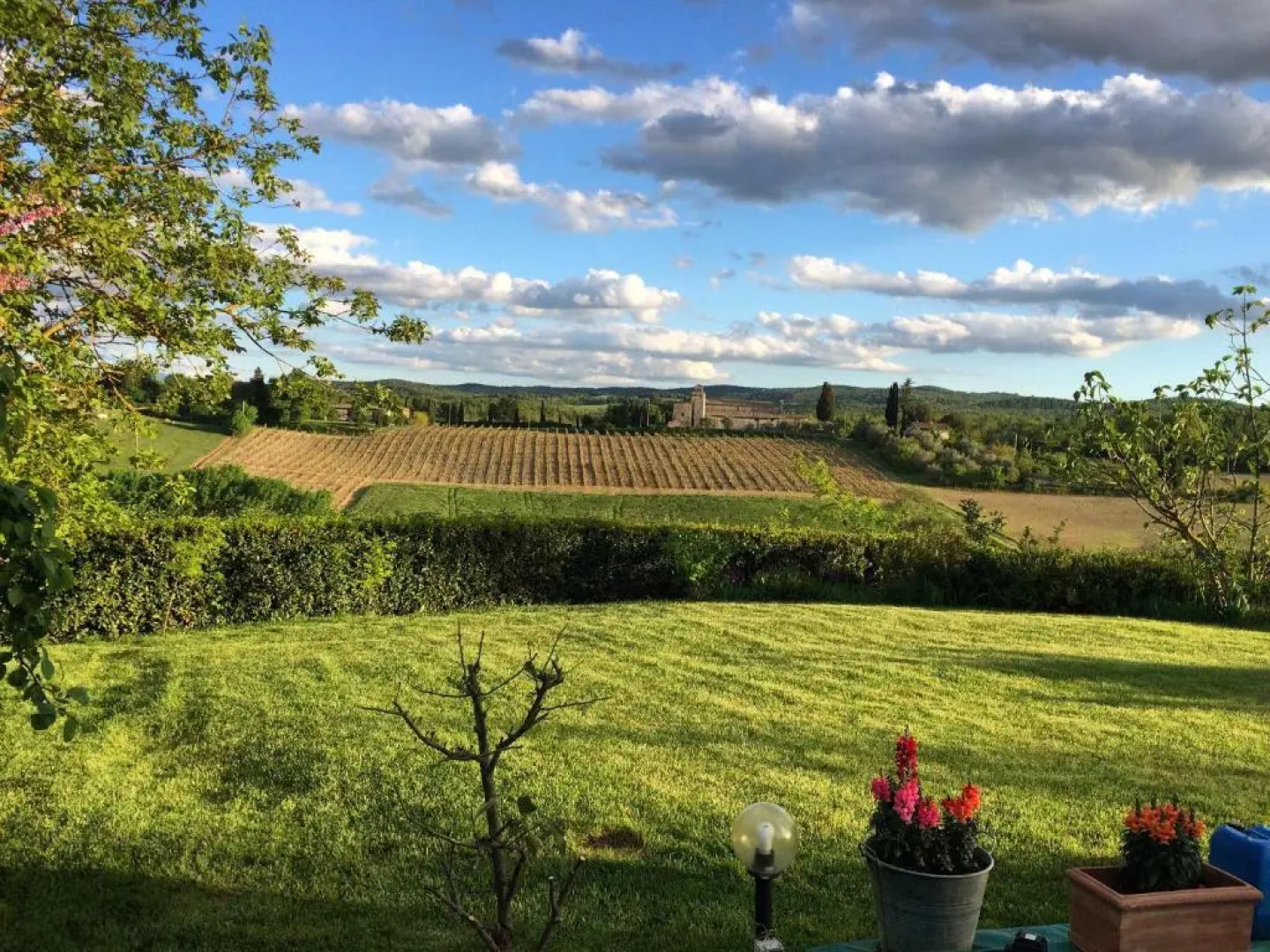 Tenuta di Corsano