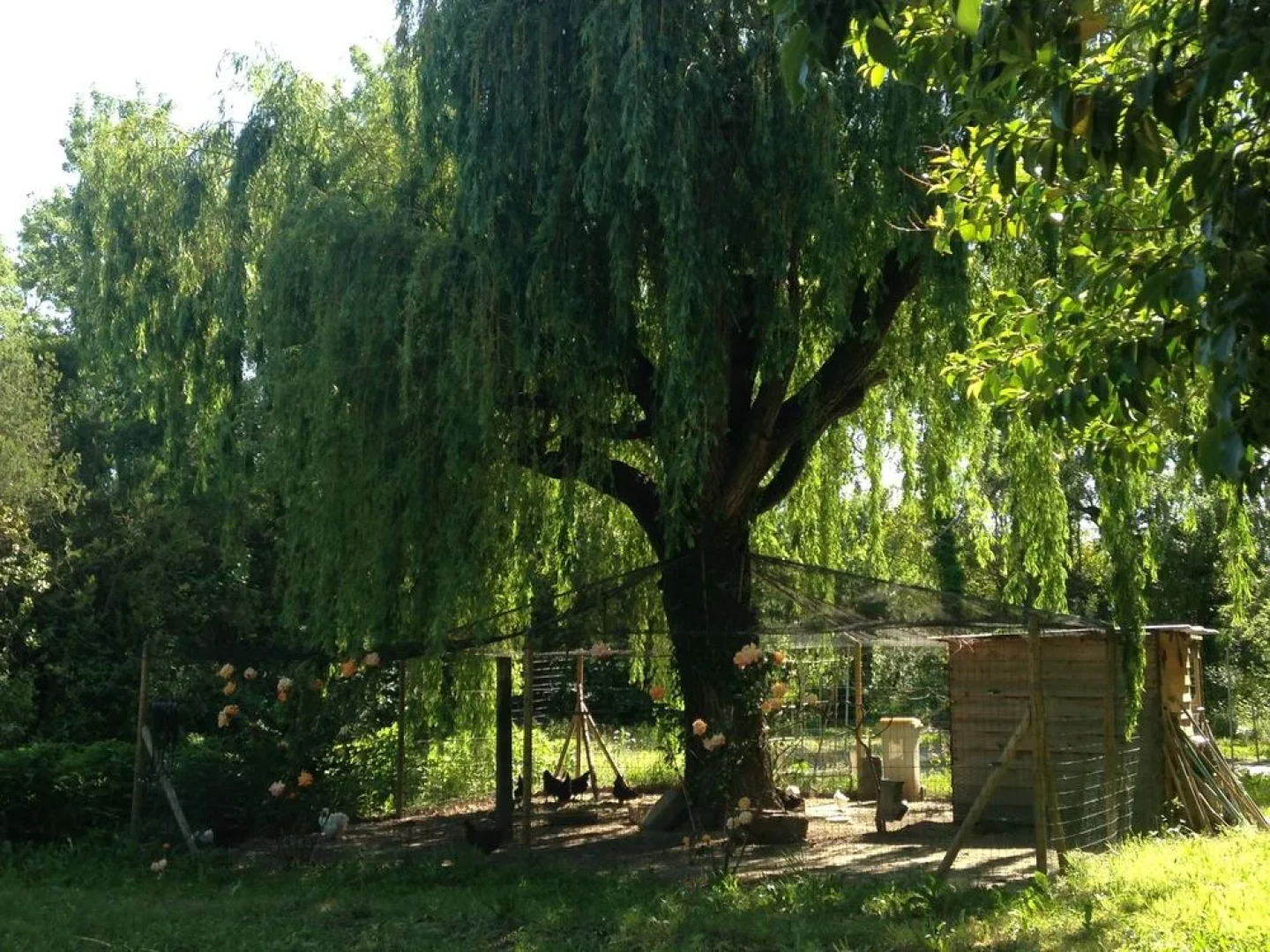 Mas Valentine Hôtel