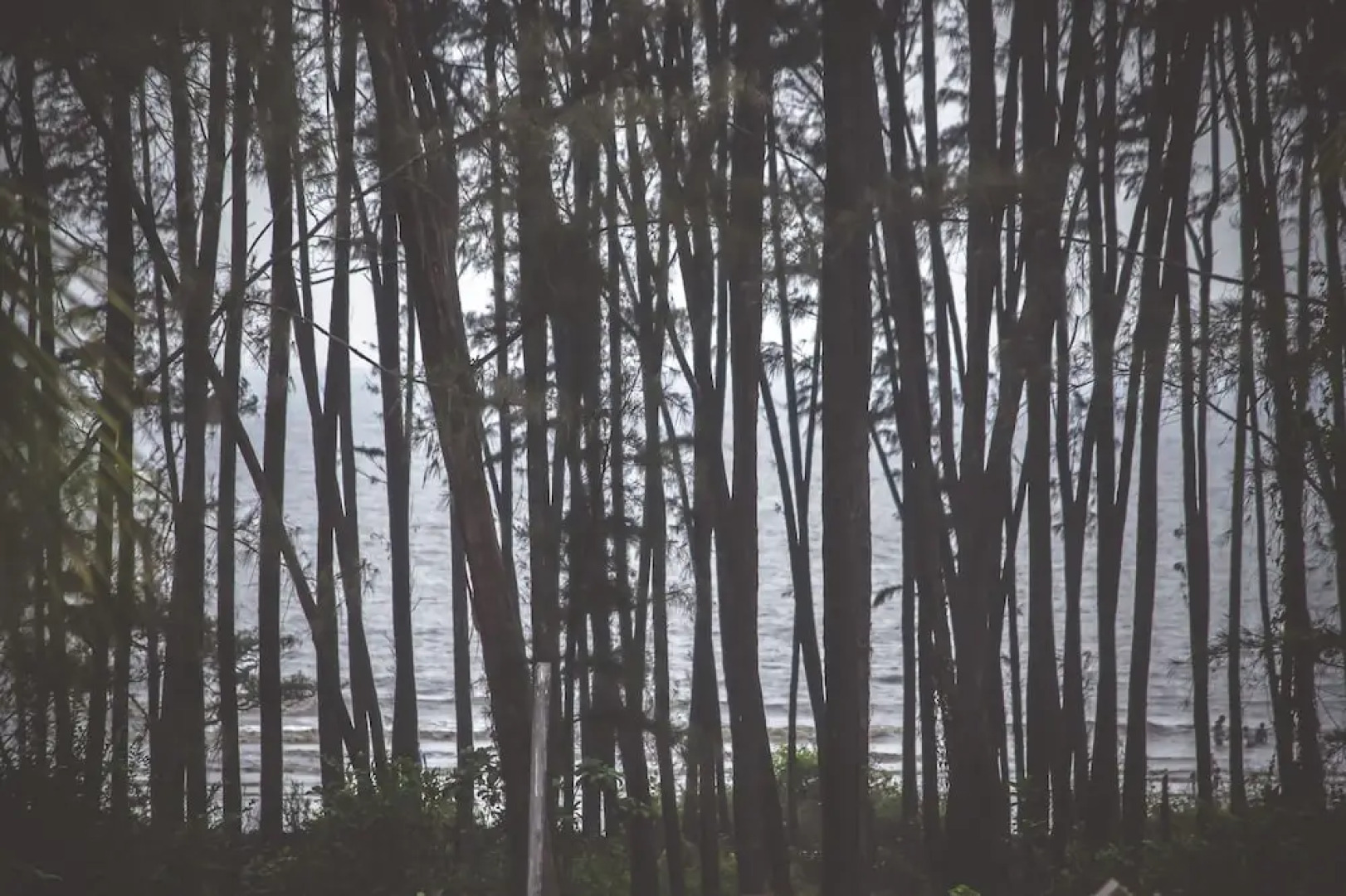 White House Beach Resort