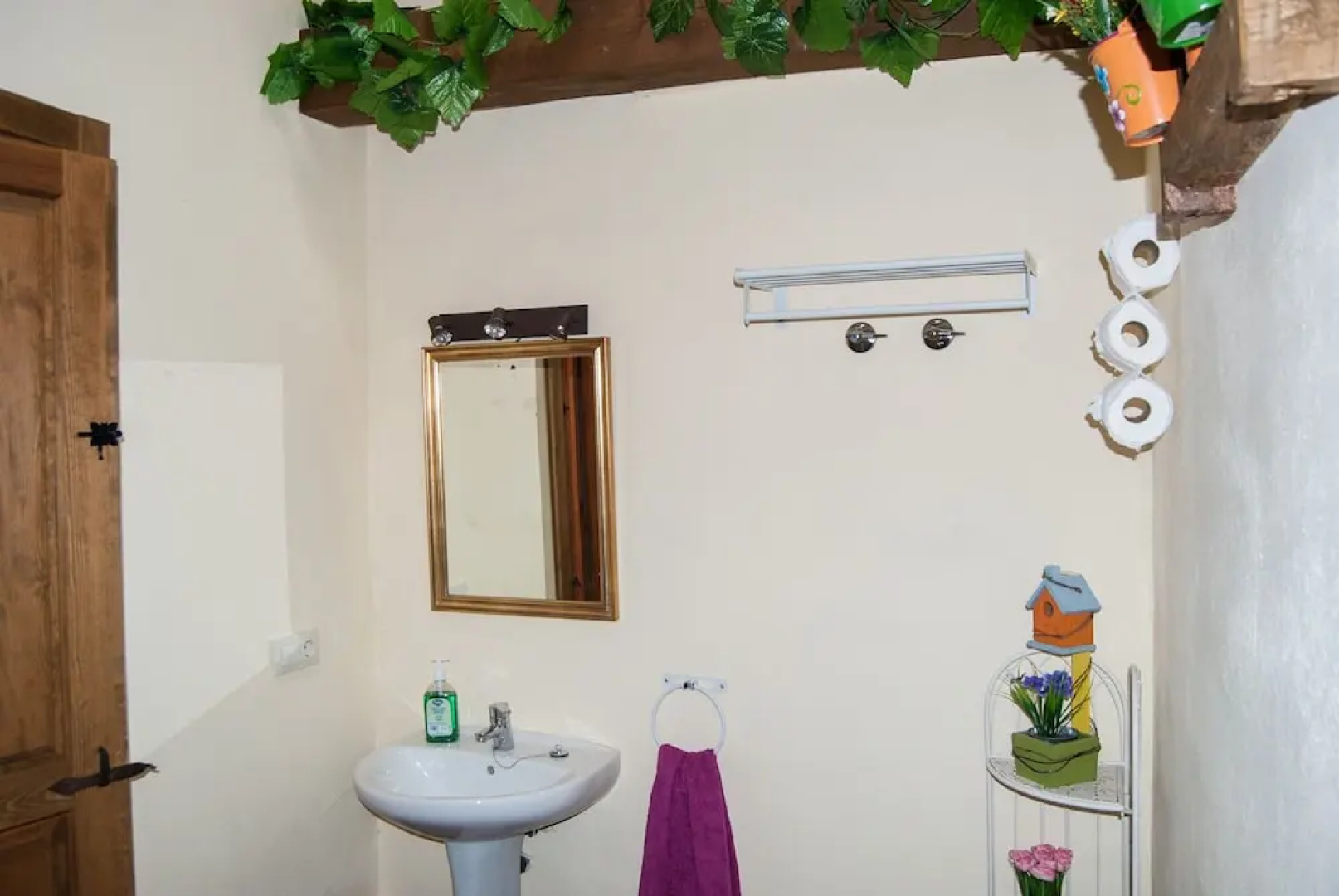 La Fuente del Pinar