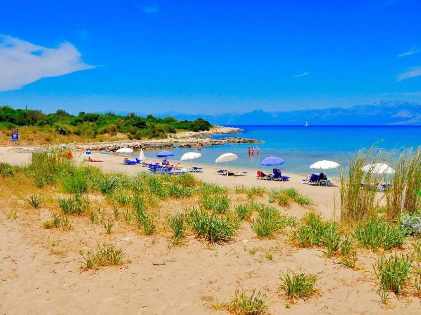 Luxury Villa Jupiter