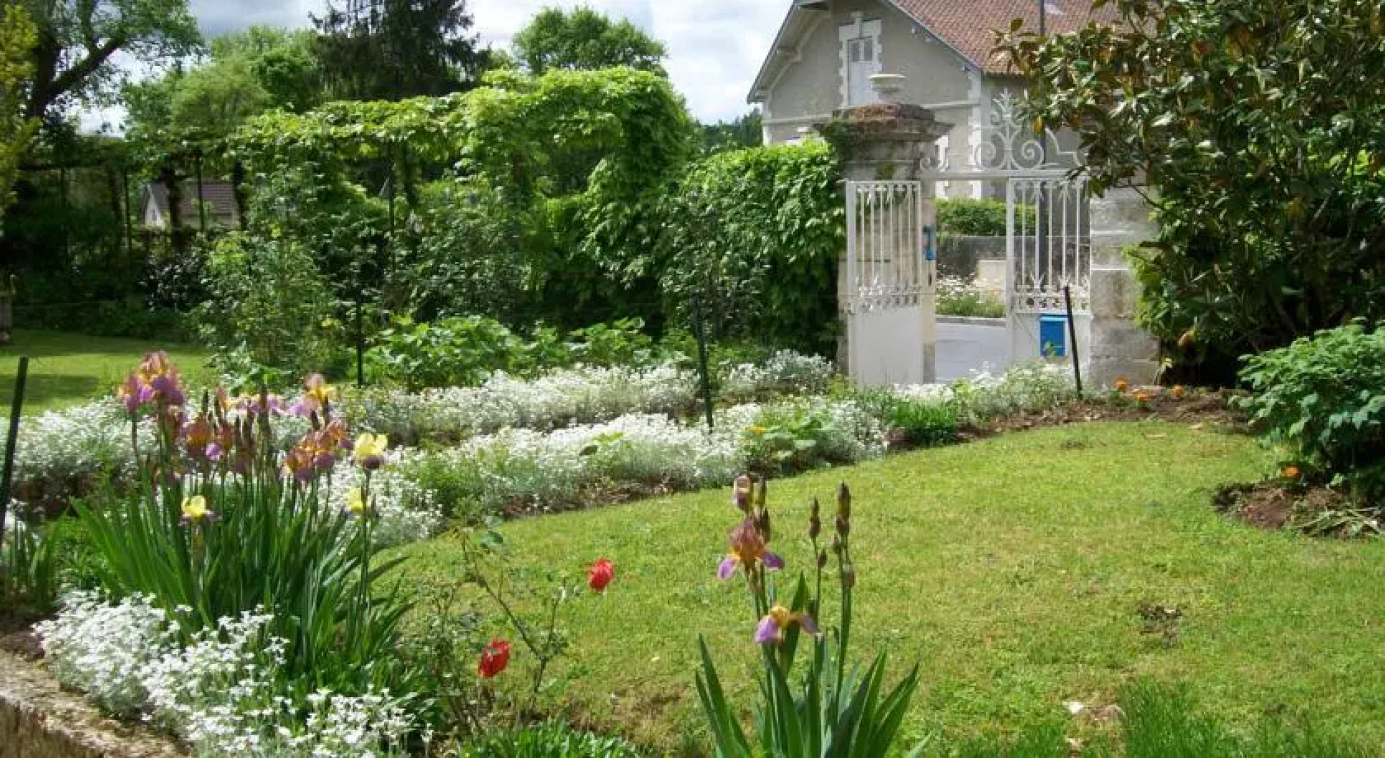 Bluebell Guest House