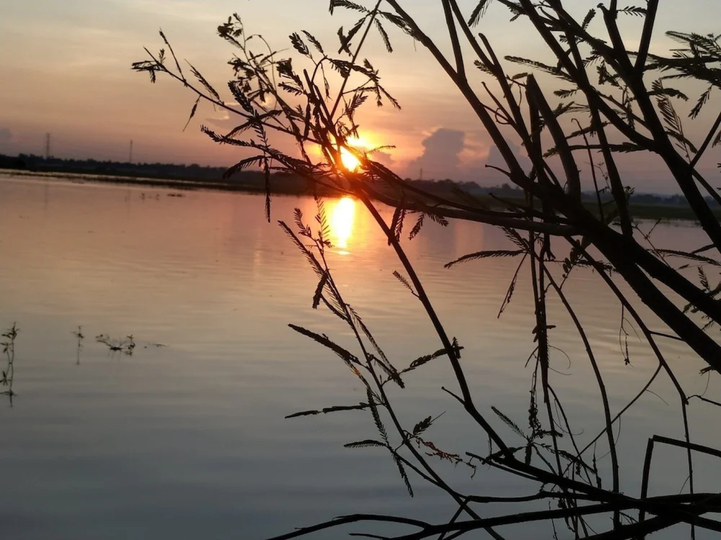 Moe Yun Gyi Wetlands Resort