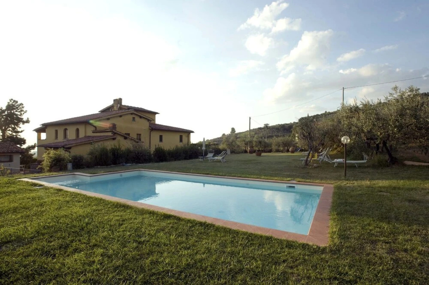 Organic Farmholiday In The Middle Of Olive Grove 2