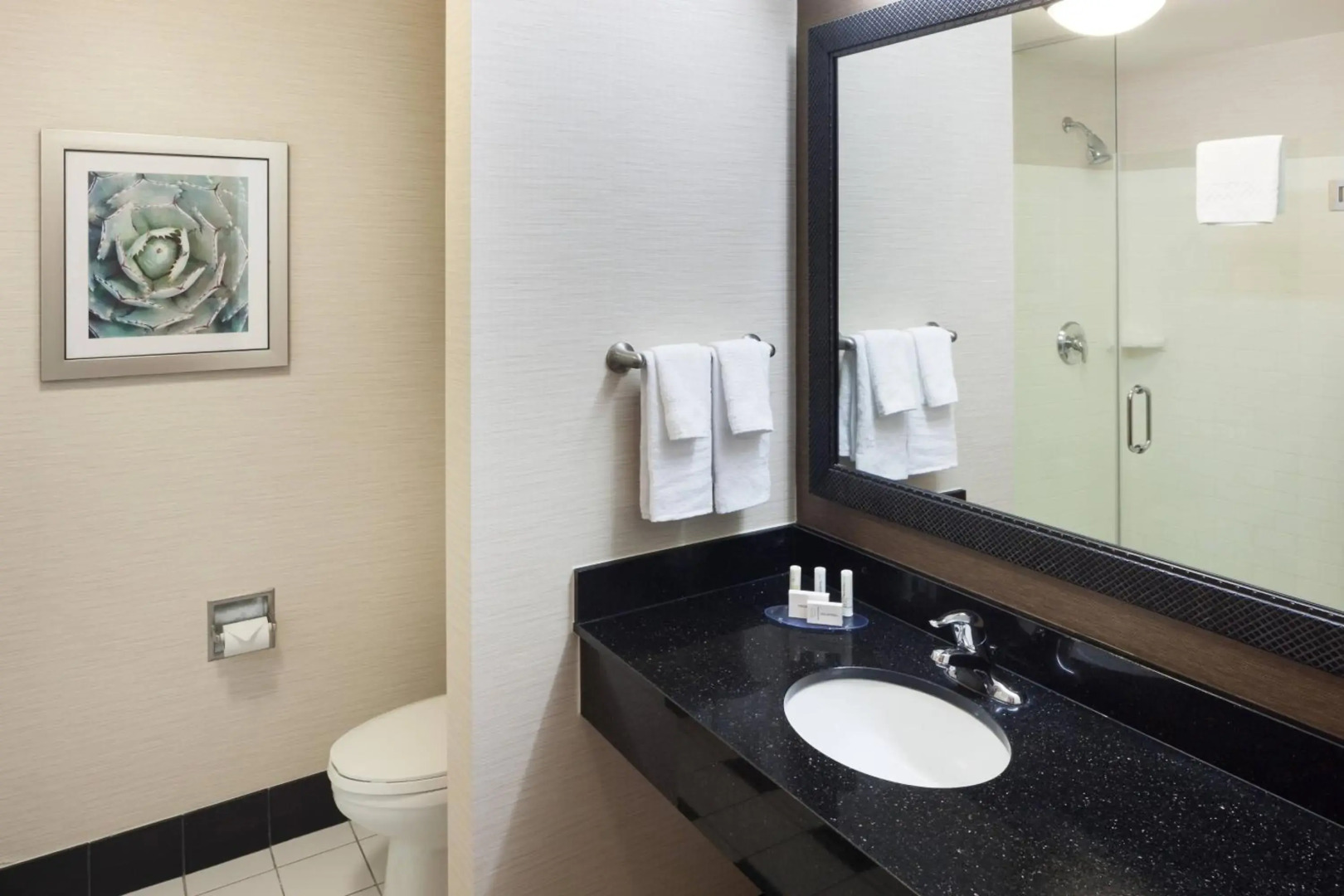 Fairfield Inn & Suites Phoenix Chandler / Fashion Center