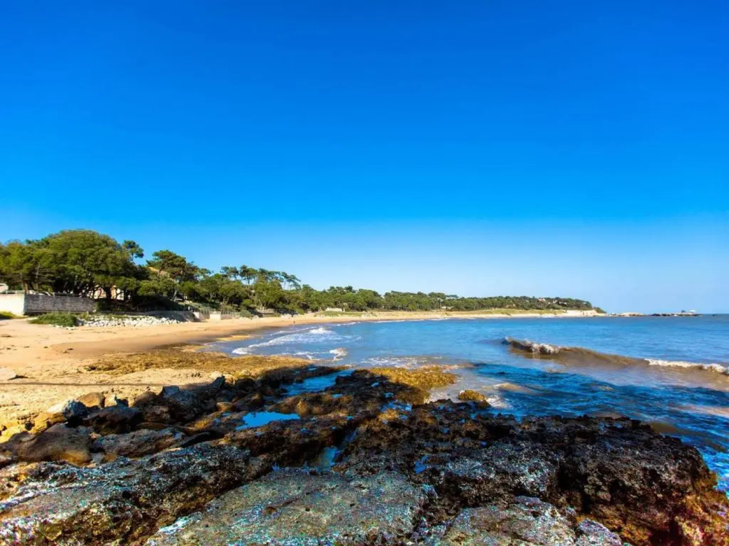 Appartement Vaux-sur-Mer, 2 pièces, 4 personnes - FR-1-494-3