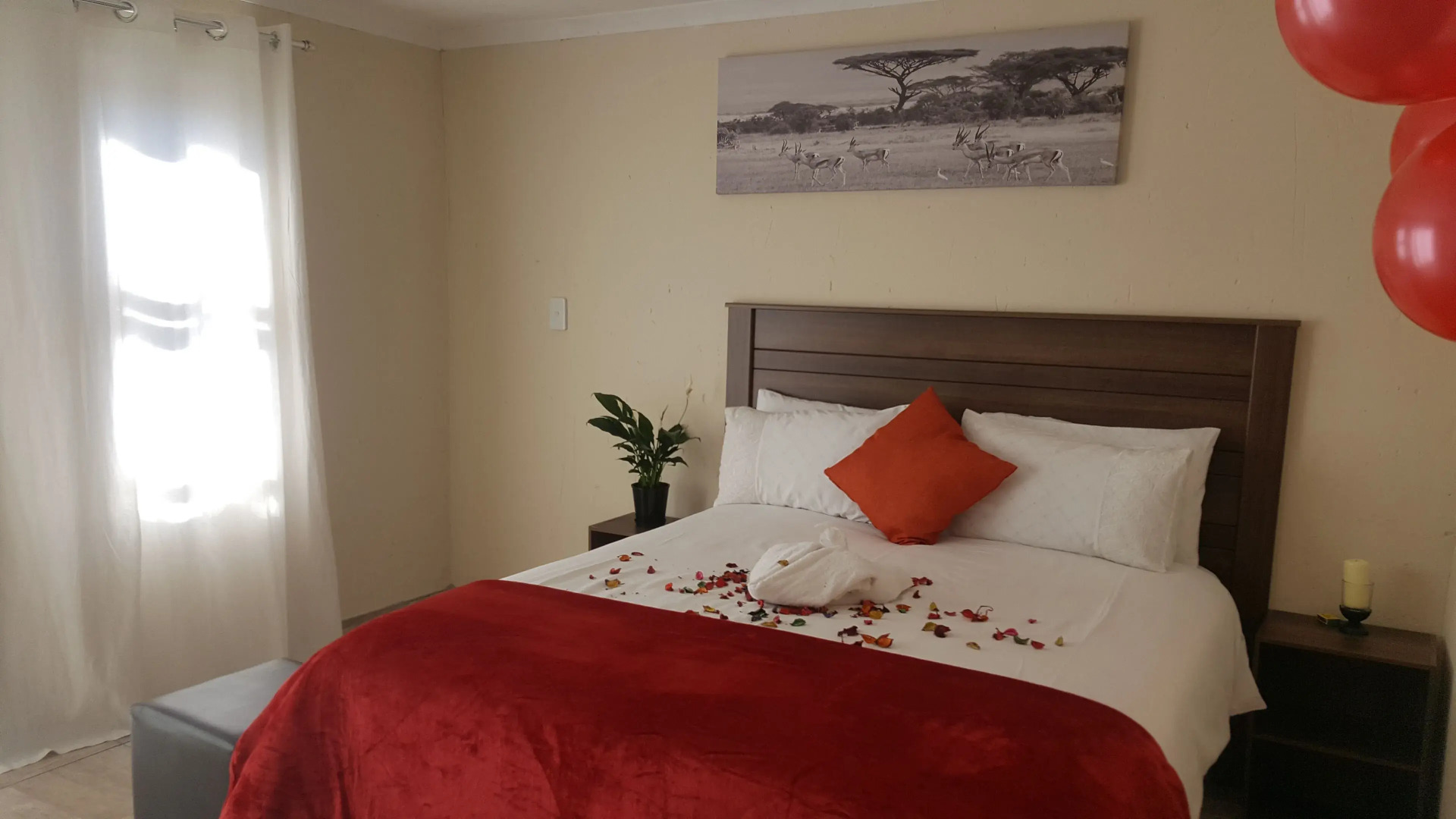 Carnival View Guest house