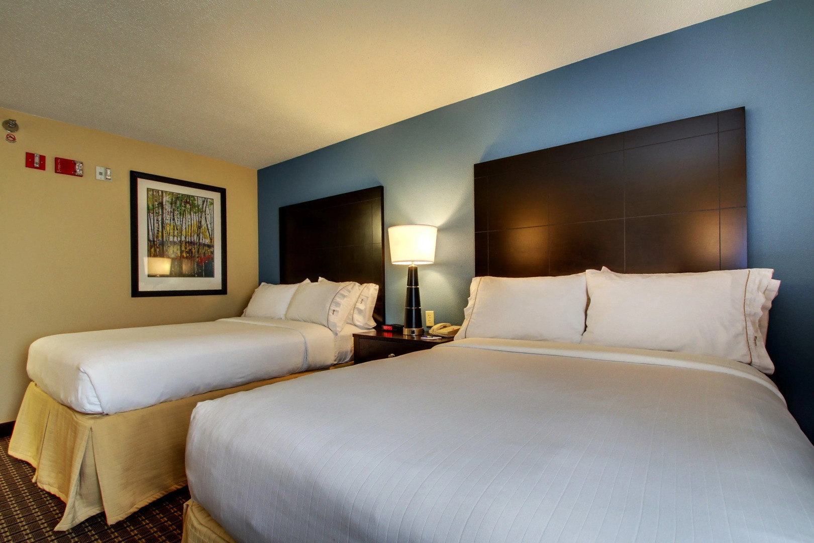 Holiday Inn Express Fort Campbell-Oak Grove by IHG