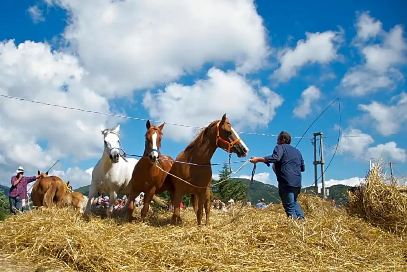 Osteria dei Tratturi Rooms