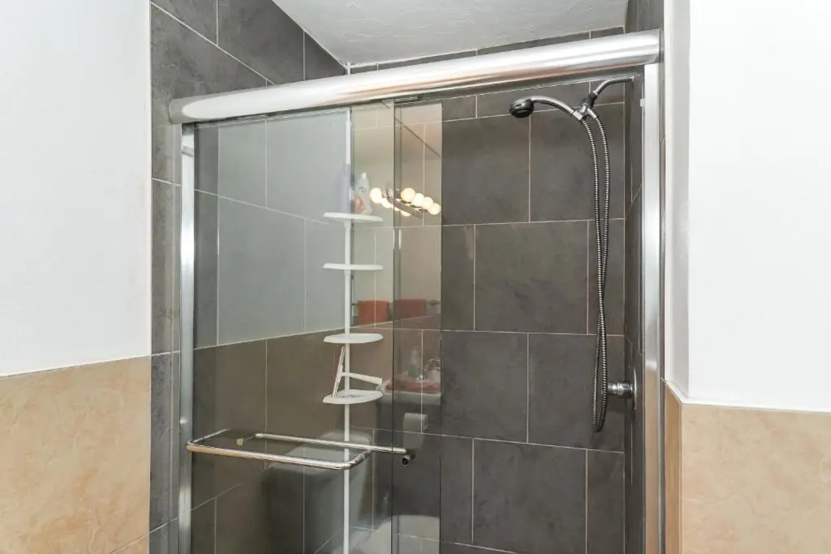 Tropical Fruit Garden