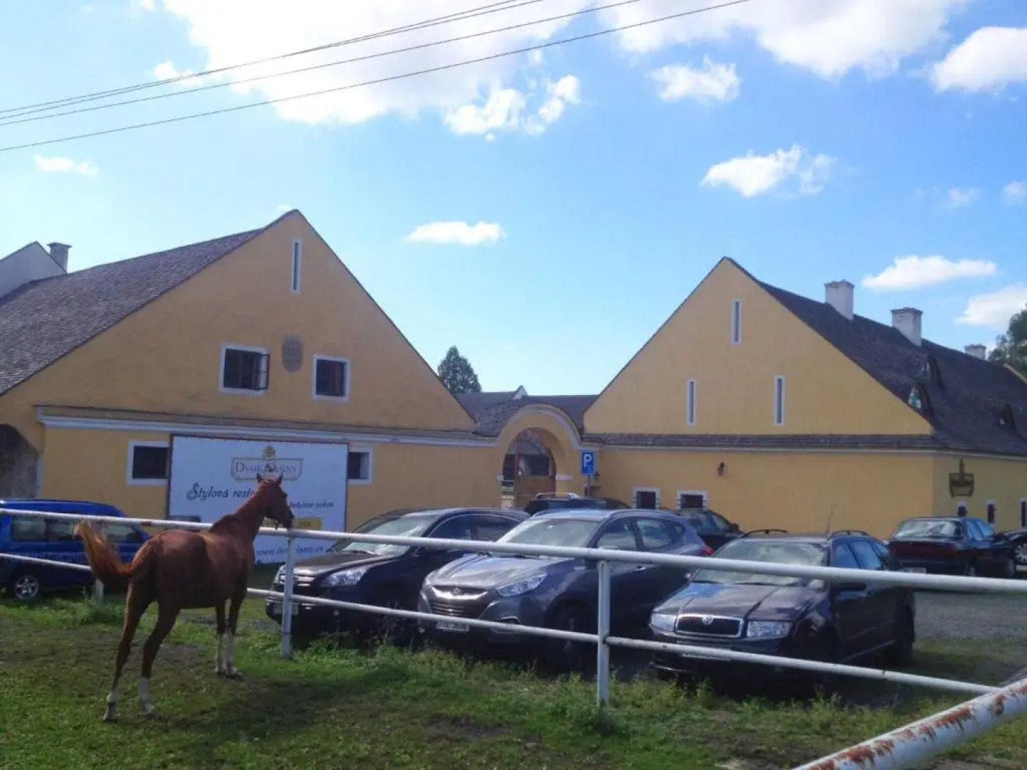 Dvůr Olšiny -Hotel and Horse-riding
