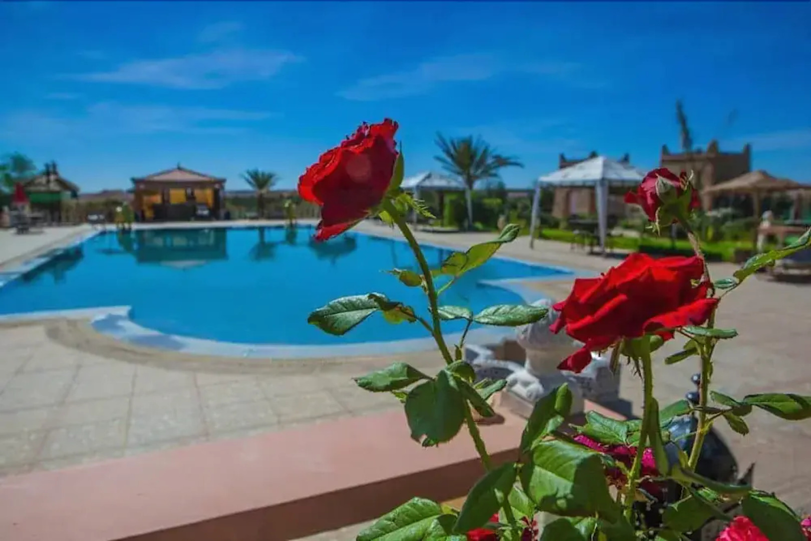 Salma Palms Ferme DHotes