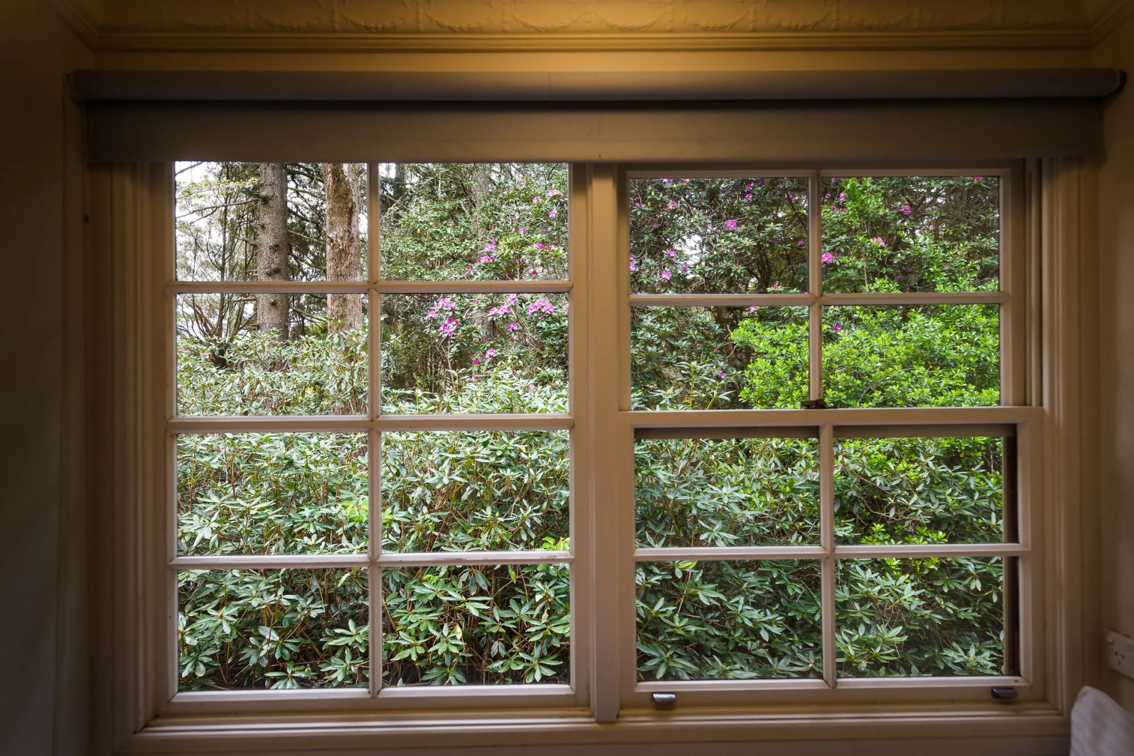 Federation Gardens and Possums Hideaway