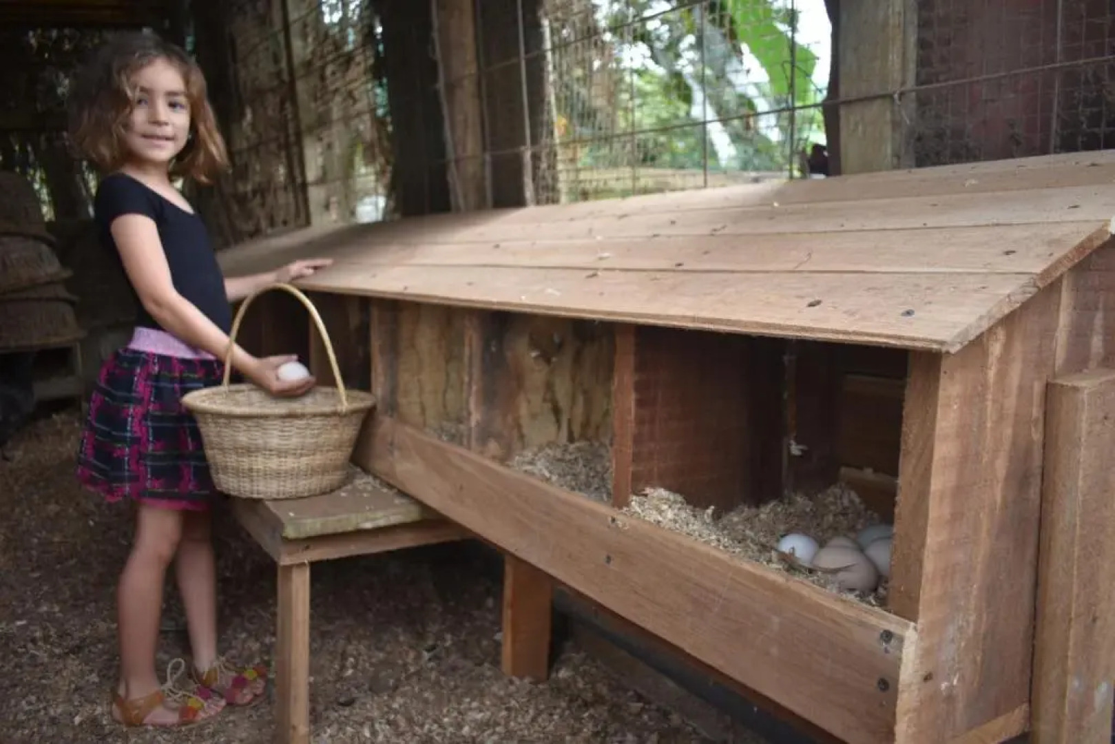 Hotel Roca Negra Del Arenal