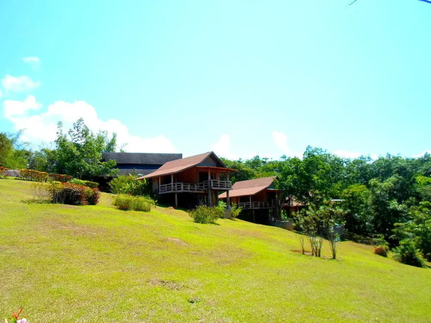 The Cliff and River Jungle Resort