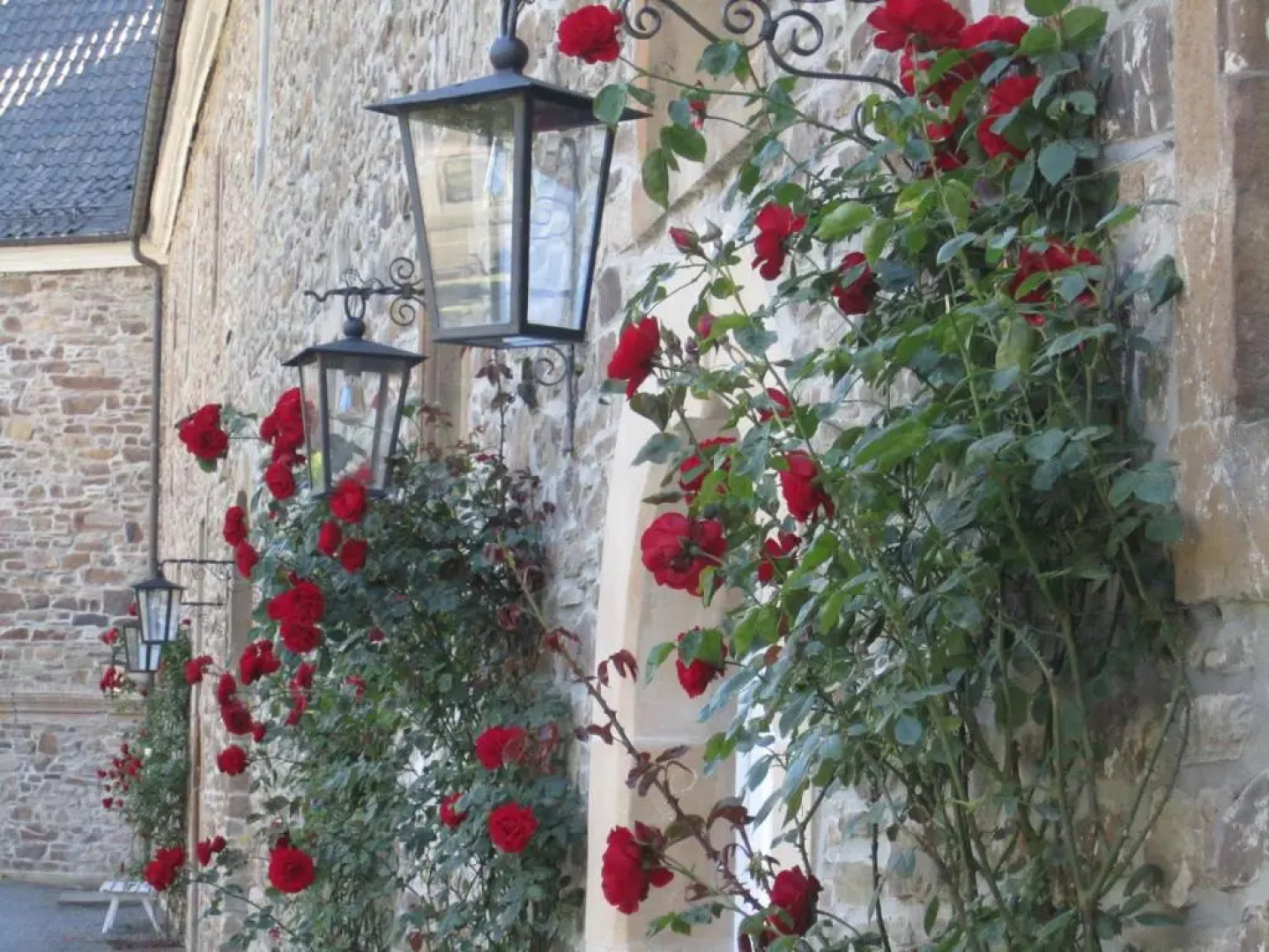 Ferienwohnung Erlenhof