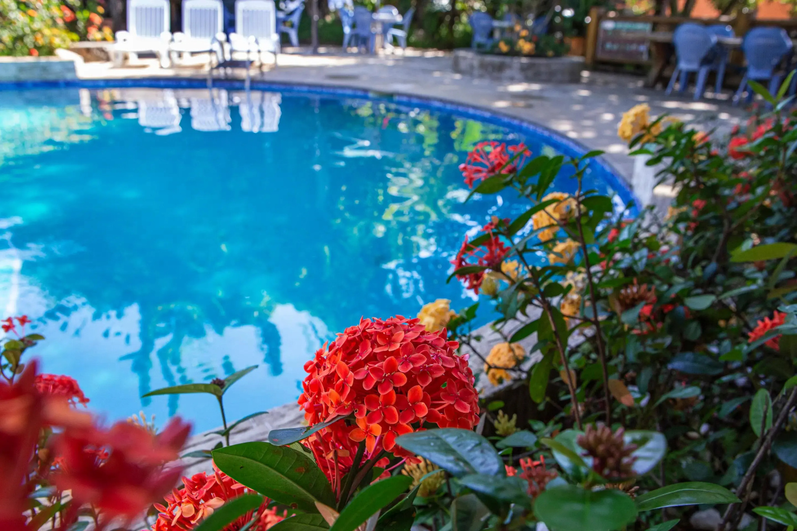 Hotel Alemão Beach de Ilhabela
