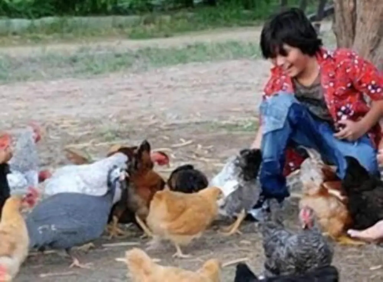 Pousada Fazenda Santa Fé