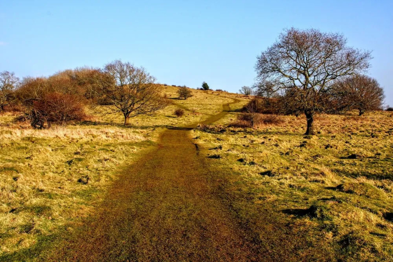 The Mendip Gate Guest House