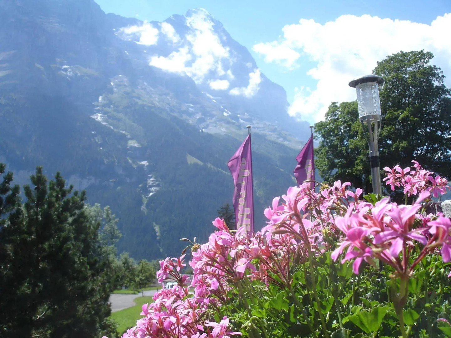 Hotel Alpenblick
