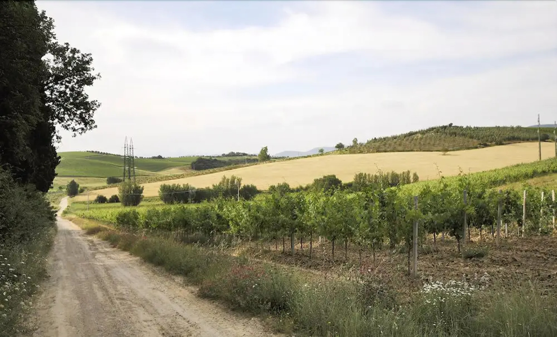 Tassinaia Bed & Breakfast