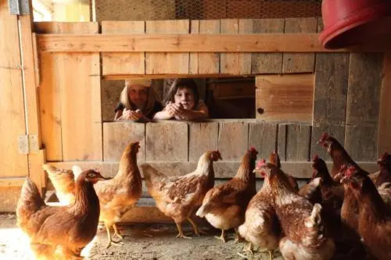 Residence Rasp zu Natz