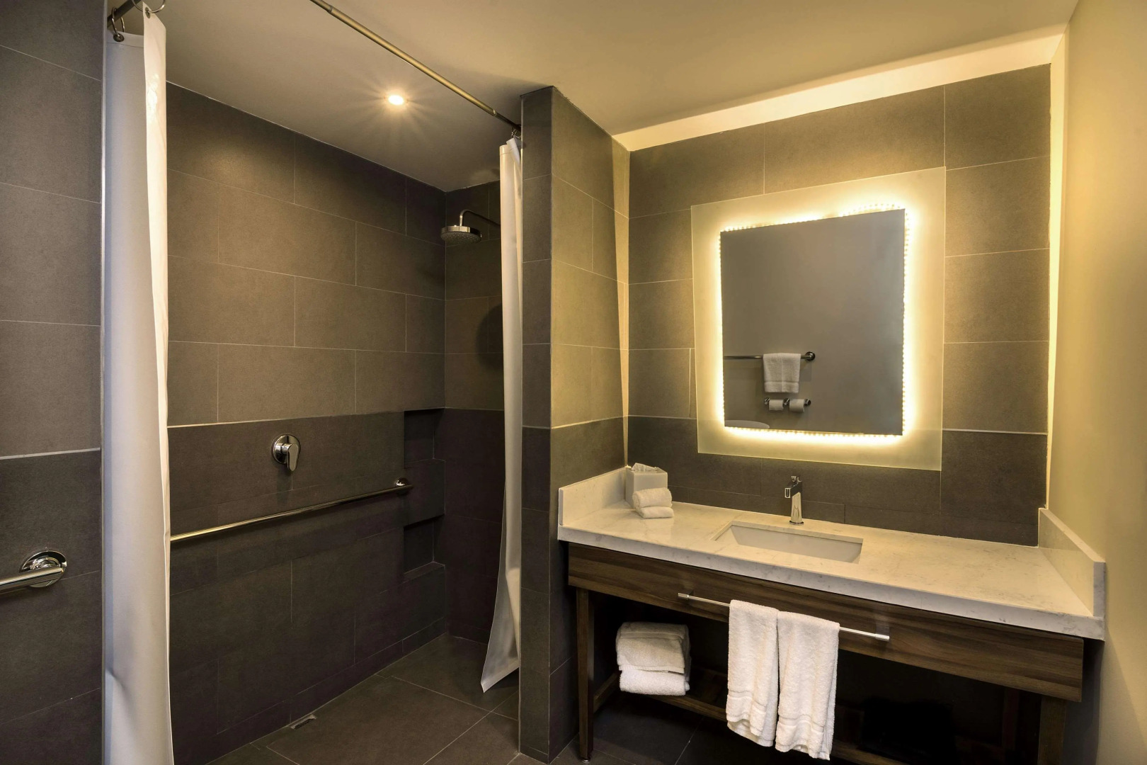 Hilton Garden Inn Aguascalientes