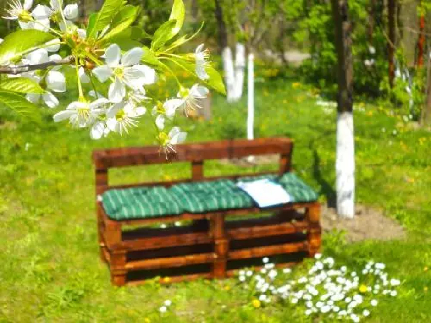 Pensiunea Valea Cernei